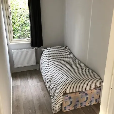 Siesta Lille